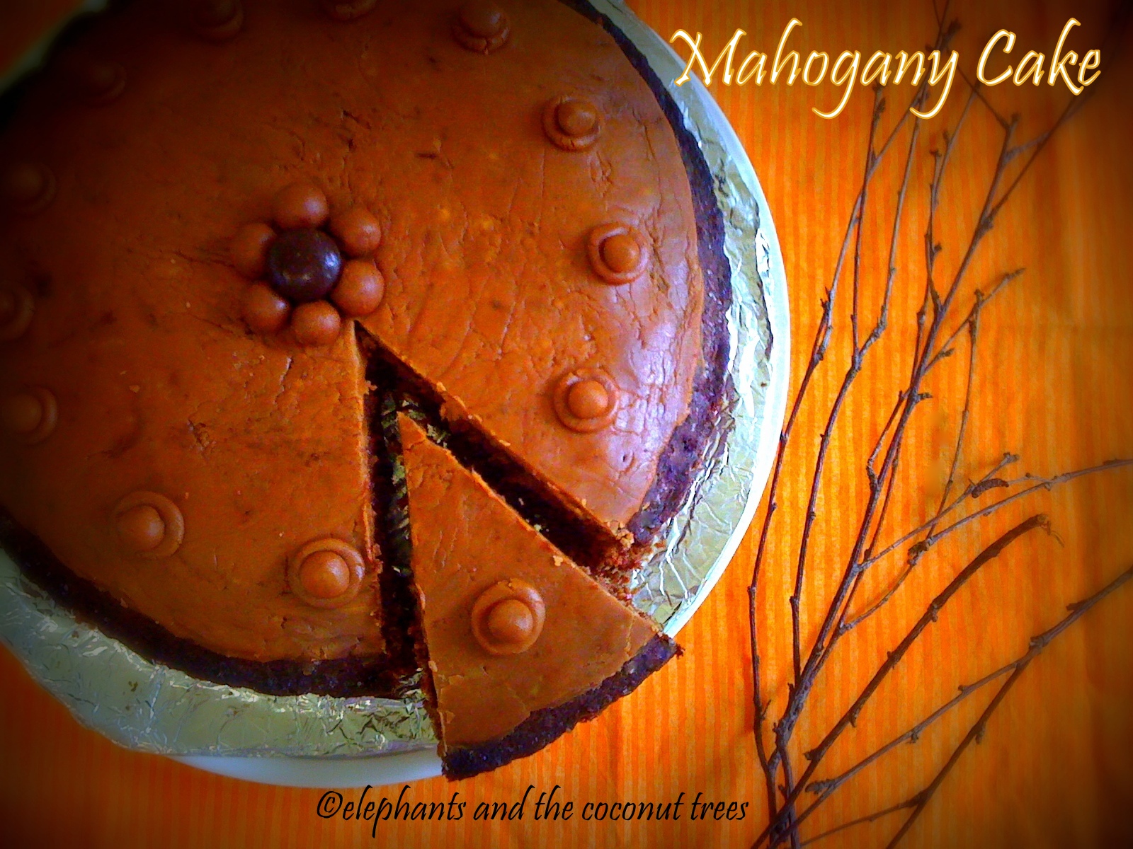 Mahogany cake / Chocolate and coffee cake with fudge frosting