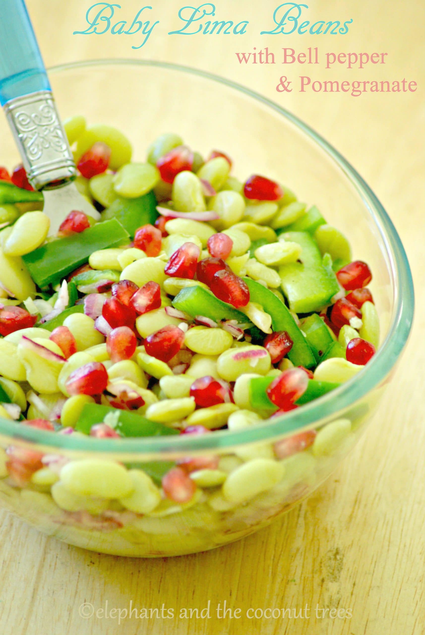 Baby Lima Beans Salad with Bell pepper and Pomegranate elephants and the coconut trees