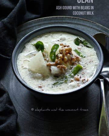 ash gourd and beans in coconut milk curry , traditional kerala sadhya recipe, olan